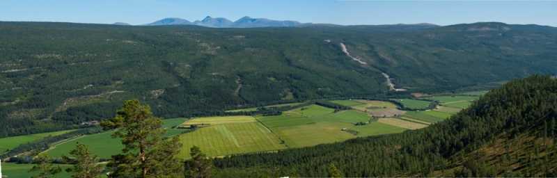 Szlakiem czerwonej drogi